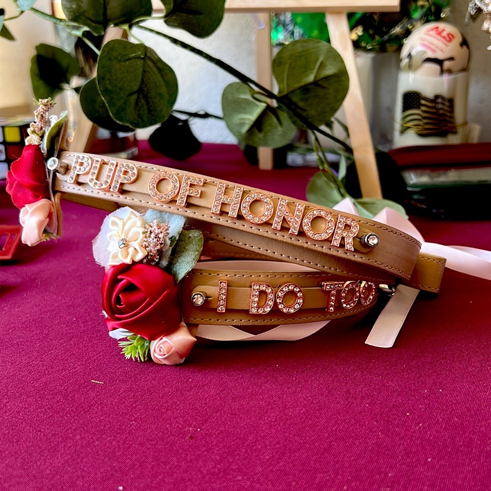 Pup of Honor Dog Collar & Leash Set